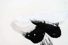 Simple, strong imagery dominates this piece by Toronto contemporary artist Lynne Fernie. Image 7