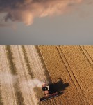 In this dramatic photographic print of a farmer harvesting his crop, Mark Bartkiw has combined dream-like images of land and sky to great ef… Image 4