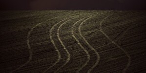 Unwinding tire tracks rise to meet a brooding sky in this dream-like image by Mark Bartkiw. Image 2