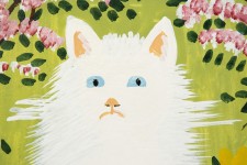 White Cat Image 4