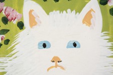 White Cat Image 7