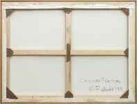 Cellular Reaction Image 14