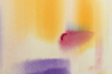 Cellular Reaction Image 12