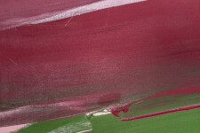 This contemporary abstract colourful oil painting is by Milly Ristvedt. Image 12