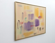 Cellular Reaction Image 3