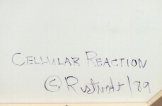 Cellular Reaction Image 15