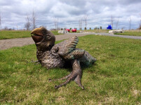 Toronto artist, Nicholas Crombach’s large, bronze outdoor sculpture of a baby macaw depicts the parrot struggling and screeching from an awk… Image 3