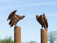 Nicholas Crombach has made a bold choice by depicting a vulture in this dramatic contemporary outdoor sculpture. Image 4