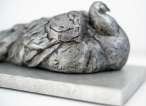Created in cast aluminum, this sculpture of a male peacock at rest is rooted in the artist's ongoing preoccupation with human and animal int… Image 7