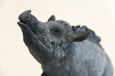 Cast in resin, a figurine of a boar posed on an indigo base points to a theme of human and animal interaction that includes taxidermy. Image 4