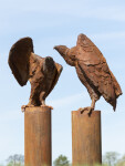 Nicholas Crombach has made a bold choice by depicting a vulture in this dramatic contemporary outdoor sculpture. Image 8