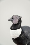 Cast in resin, a figurine of a pheasant posed on an indigo base points to a theme of human and animal interaction. Image 5