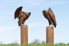 Nicholas Crombach has made a bold choice by depicting a vulture in this dramatic contemporary outdoor sculpture. Image 3