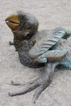 Macaw Image 5