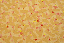 This abstract contemporary painting inspired by nature was created by a Canadian artist. Image 3