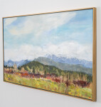 Fraser Valley Image 3