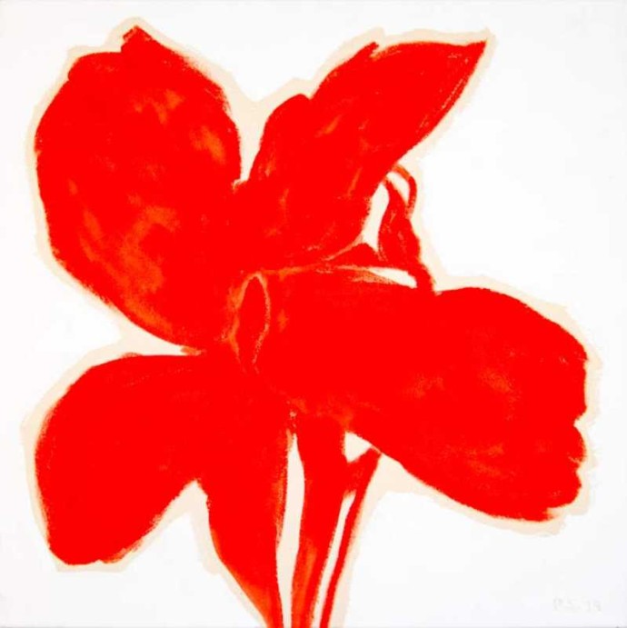 Lily, Red