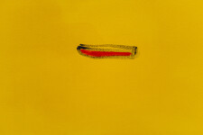 This contemporary abstract landscape of a lake is by Pat Service. Image 6