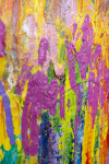 This abstract acrylic painting by Paul Fournier is in tropical colours. Image 14