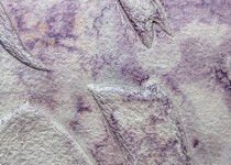 Untitled_2008 Image 3