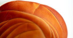 This contemporary saffron coloured ceramic vase has an organic shape inspired by nature. Image 9