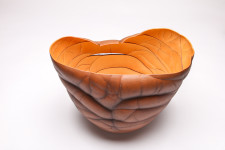 Paul Murray creates distinctive porcelain pieces Inspired by forms and patterns found in nature. Image 6