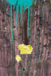 Cerulean Warbler Image 7