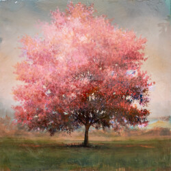 The glory of a fruit tree in full blossom is captured in this beautiful composition by Peter Hoffer.