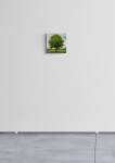 Peter Hoffer’s elegant series of tree ‘portraits’ are modern landscapes. Image 7