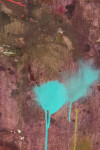 Cerulean Warbler Image 8