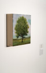 Peter Hoffer’s elegant series of tree ‘portraits’ are modern landscapes. Image 6