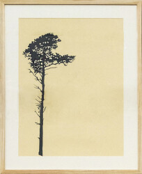 Der Wald Tree 3 ed.10/12