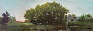 A stand of trees is framed by scumbled washes of blue, white and light pink in this atmospheric landscape by Peter Hoffer.
