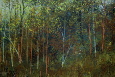 Dense spring forest with saplings in whites, reds and browns coalesce at the centre of the panel with foreground of concentrated vegetation. Image 2