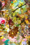 Gold Finch Image 7