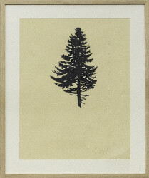 Der Wald Tree 4 ed.10/12