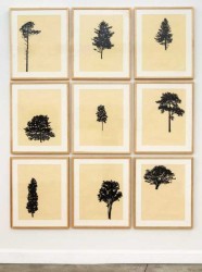 Der Wald (portfolio of 9) 10 of 12