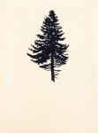 An elegant portfolio of nine woodblock prints creates ‘The Forest’ (Der Wald in German) in this fine series by Peter Hoffer. Image 5