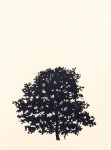 An elegant portfolio of nine woodblock prints creates ‘The Forest’ (Der Wald in German) in this fine series by Peter Hoffer. Image 9