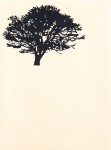 An elegant portfolio of nine woodblock prints creates ‘The Forest’ (Der Wald in German) in this fine series by Peter Hoffer. Image 7