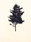 An elegant portfolio of nine woodblock prints creates ‘The Forest’ (Der Wald in German) in this fine series by Peter Hoffer. Image 10