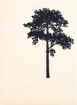 An elegant portfolio of nine woodblock prints creates ‘The Forest’ (Der Wald in German) in this fine series by Peter Hoffer. Image 2