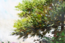 Pine Portrait Image 5