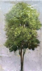 Tree Portrait 202012