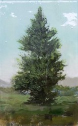 Tree Portrait 20204