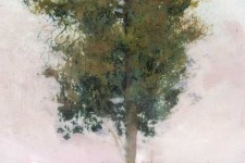 Tree Portrait 20205 Image 2