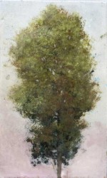 Tree Portrait 20205