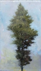 Tree Portrait 20208