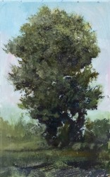 Tree Portrait 202011