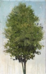 Tree Portrait 20209